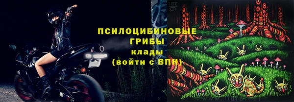 spice Алексин